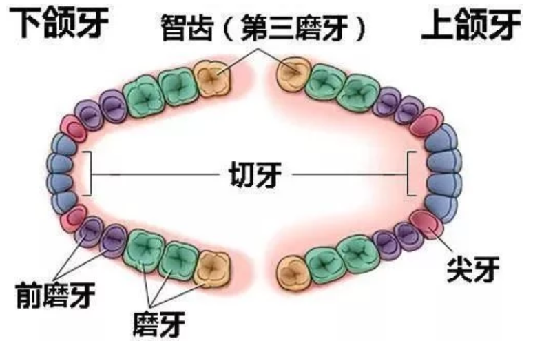 微信图片_20210602103636.png