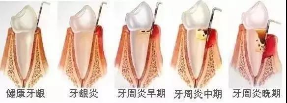 微信图片_20210827180625.jpg